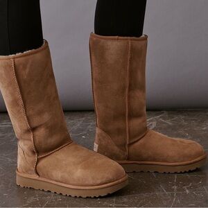 Tall chestnut uggs (size 10).